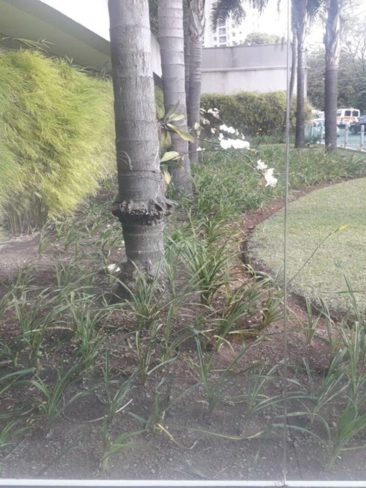 Apartamento, 2 quartos, 59 m² - Foto 60
