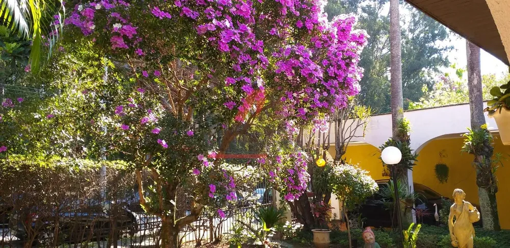 Casa, 4 quartos, 360 m² - Foto 4