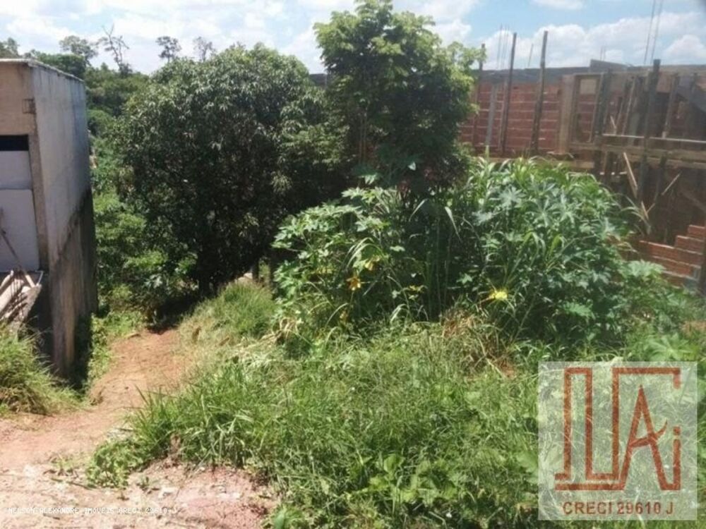 Terreno - Foto 1