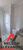 Apartamento, 3 quartos, 75 m² - Foto 17