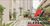 Apartamento, 3 quartos, 75 m² - Foto 3