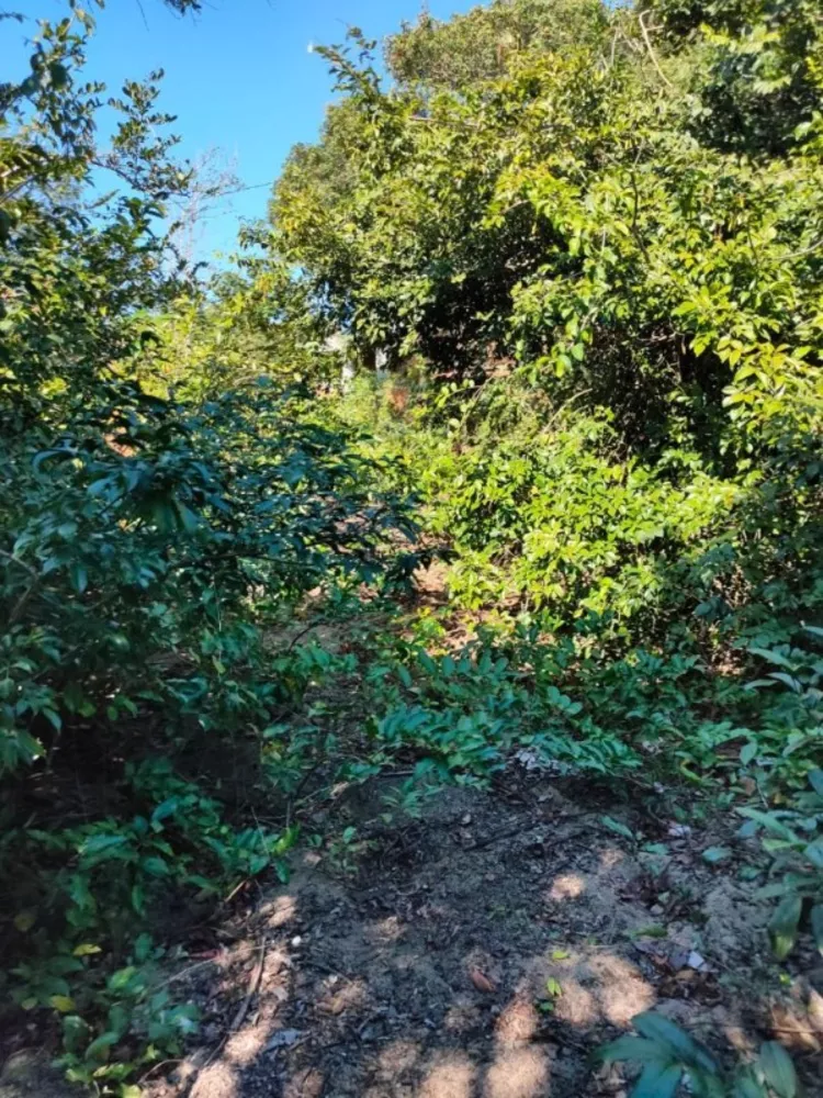 Terreno, 1100 m² - Foto 4