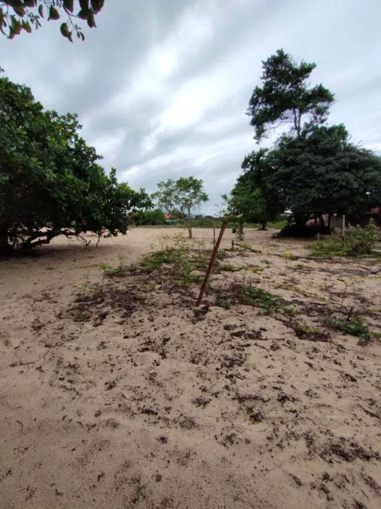 Sítio, 1 quarto, 5000 m² - Foto 11