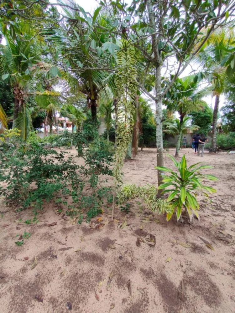 Sítio, 1 quarto, 5000 m² - Foto 19