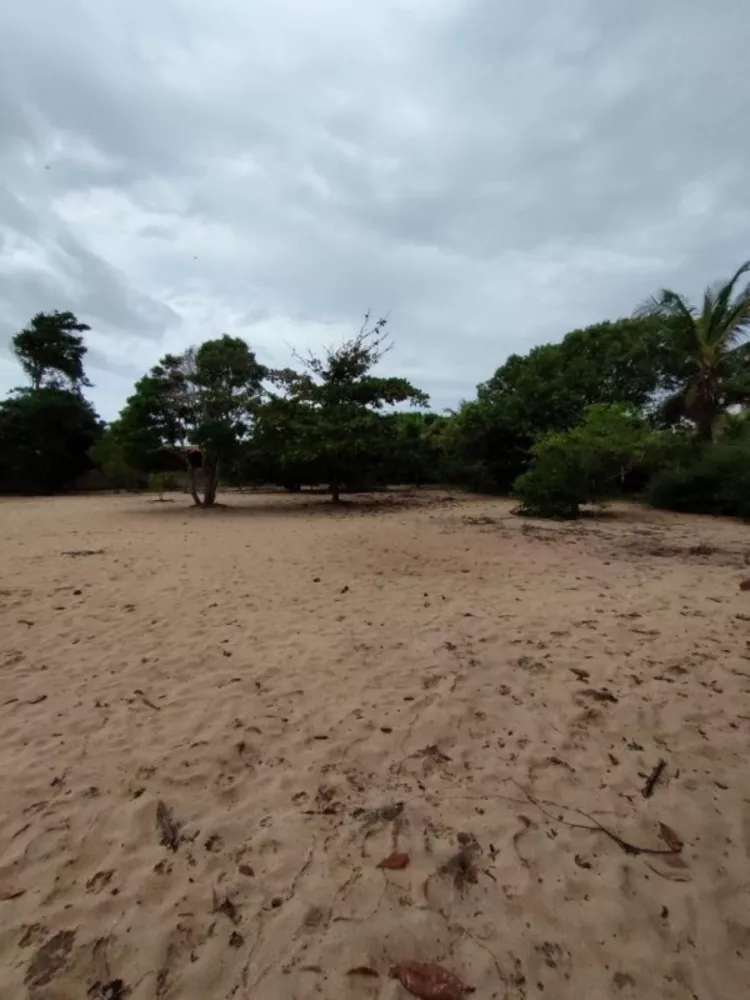 Sítio, 1 quarto, 5000 m² - Foto 15