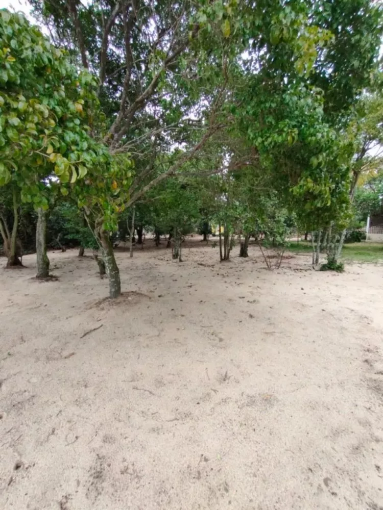 Sítio, 1 quarto, 5000 m² - Foto 2
