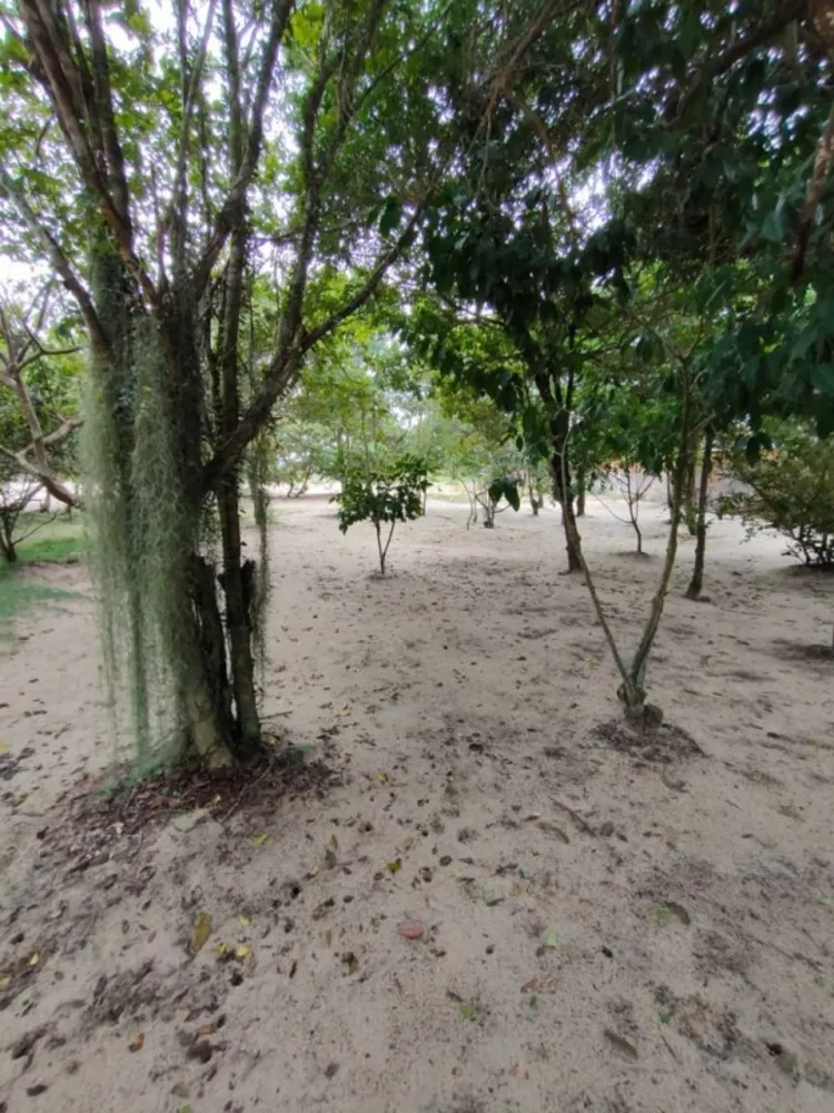 Sítio, 1 quarto, 5000 m² - Foto 17