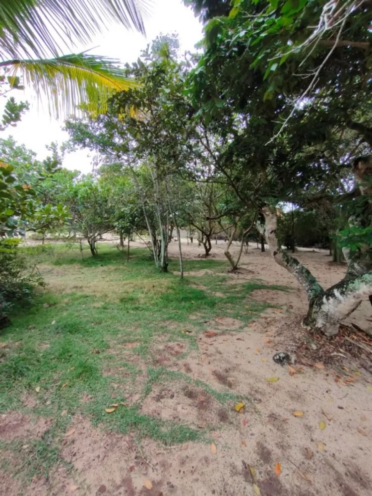 Sítio, 1 quarto, 5000 m² - Foto 4