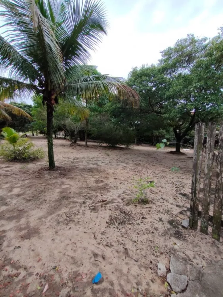 Sítio, 1 quarto, 5000 m² - Foto 6