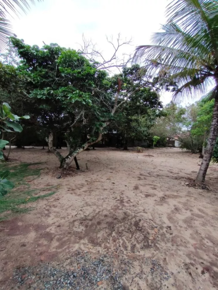 Sítio, 1 quarto, 5000 m² - Foto 18
