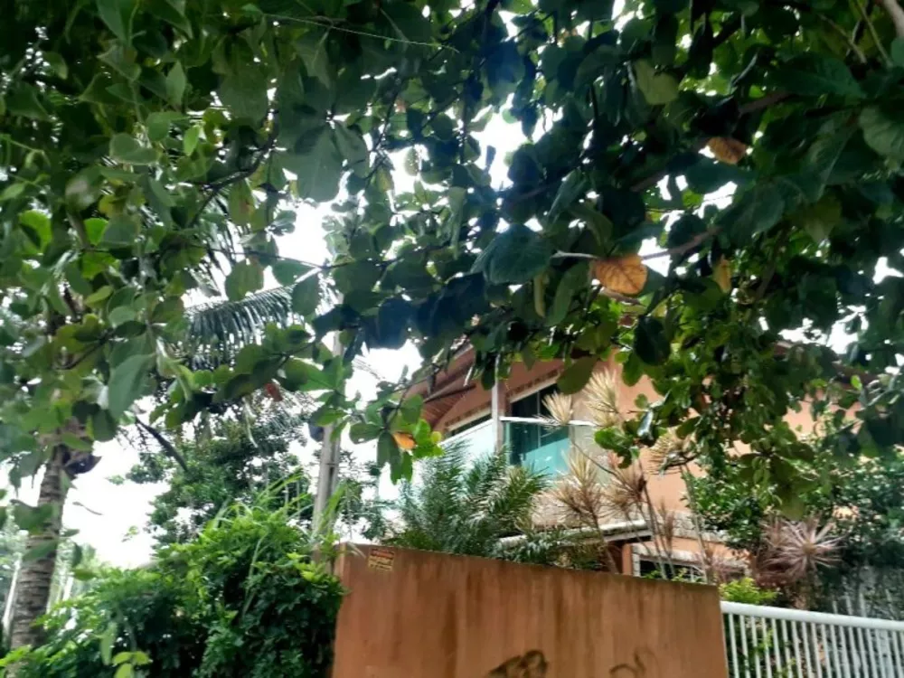 Casa, 3 quartos - Foto 11
