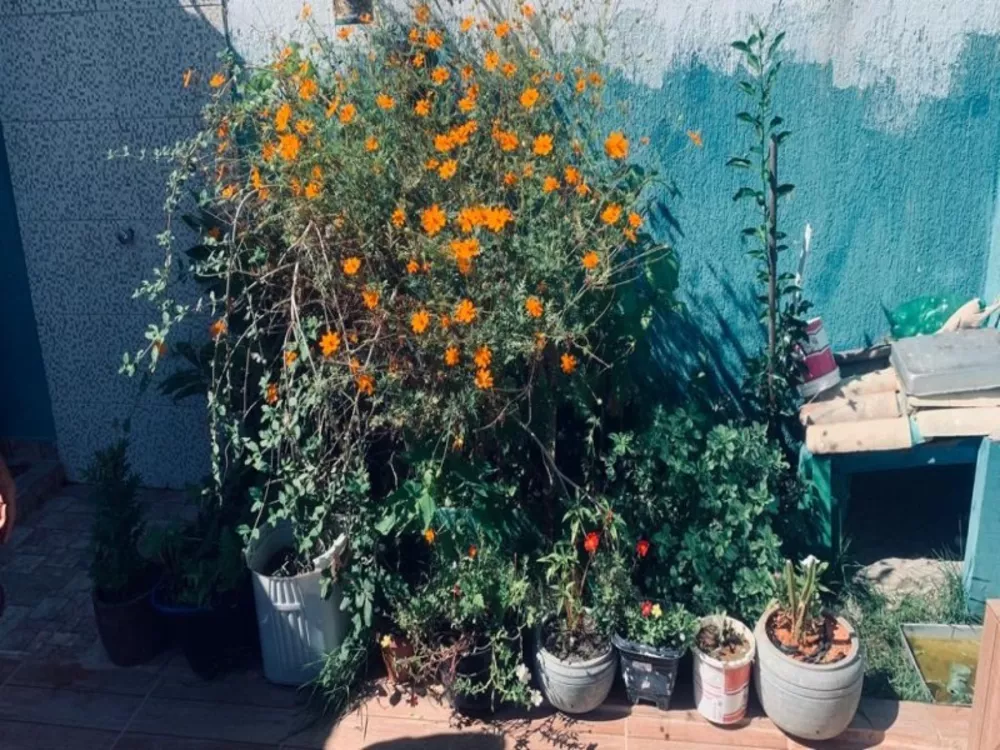 Casa, 2 quartos - Foto 14