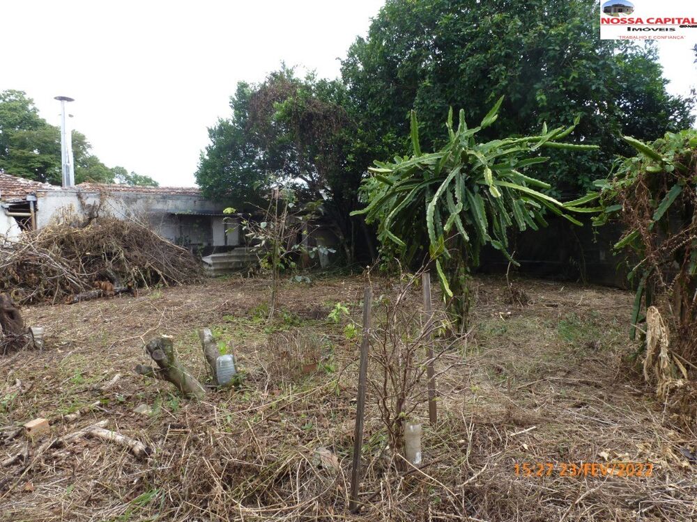 Terreno, 1095 m² - Foto 11