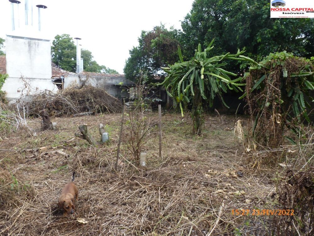 Terreno, 1095 m² - Foto 12