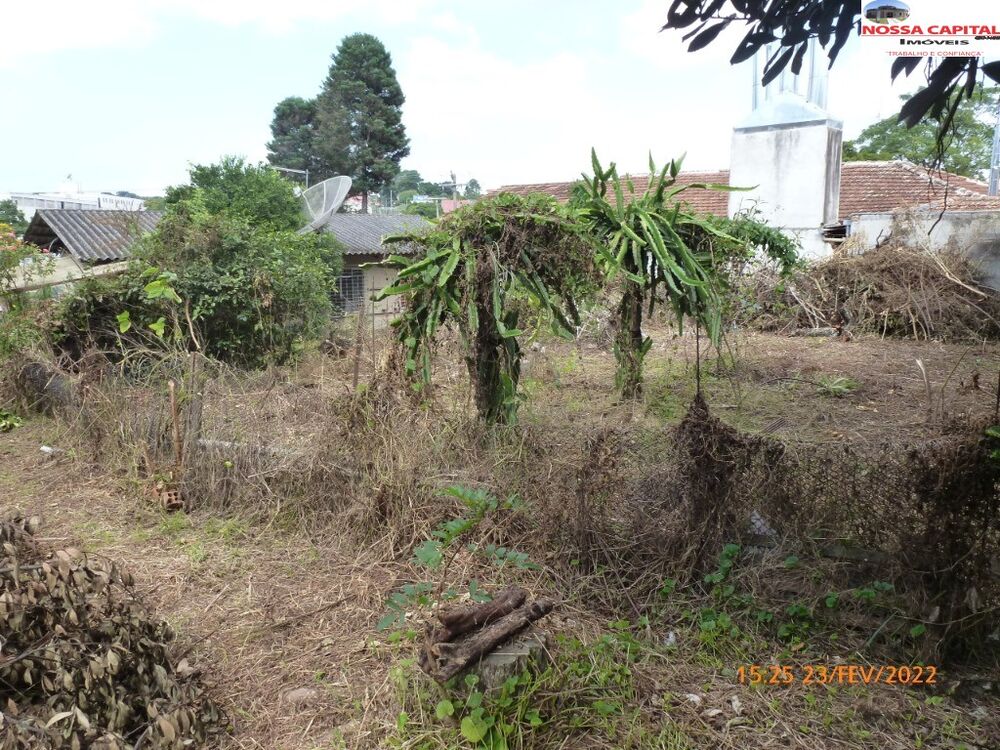 Terreno, 1095 m² - Foto 8