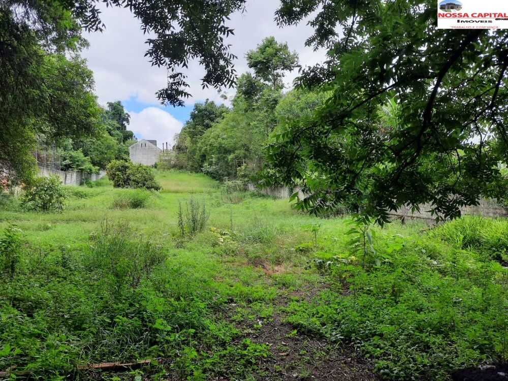 Terreno, 4200 m² - Foto 4