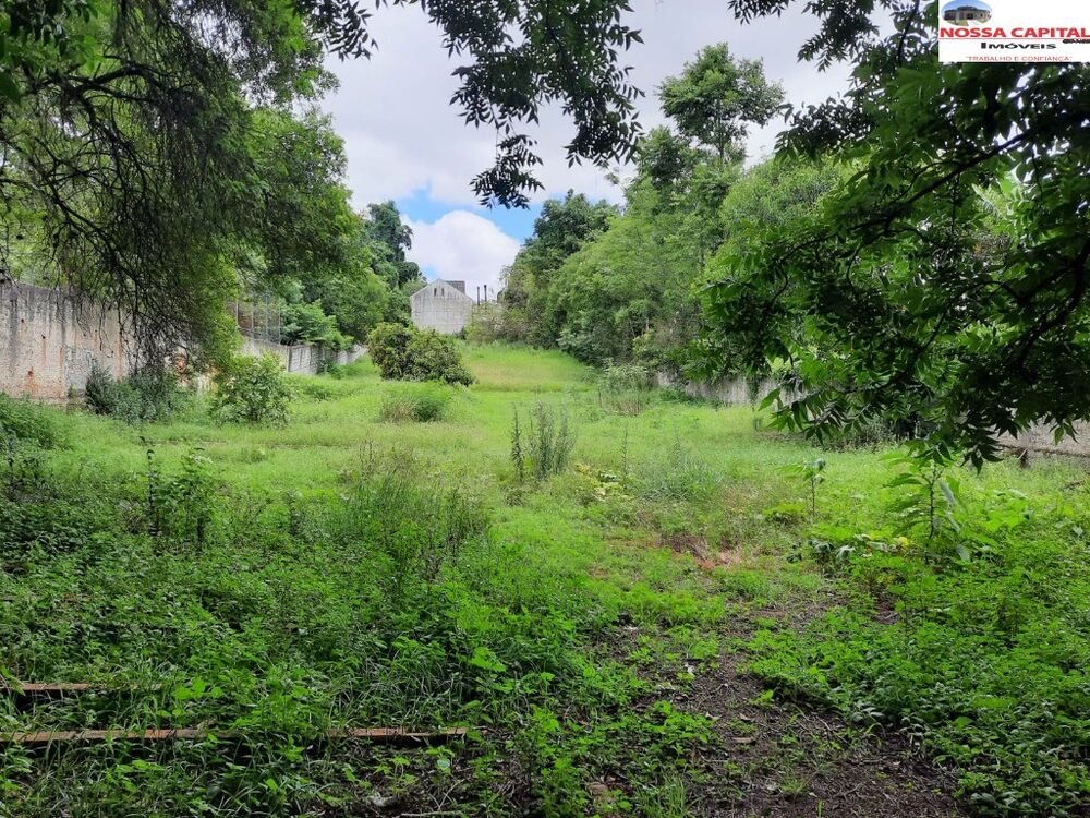 Terreno, 4200 m² - Foto 1