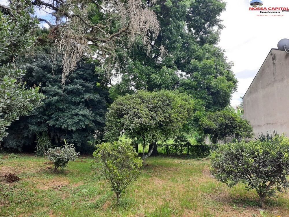 Terreno, 4200 m² - Foto 3