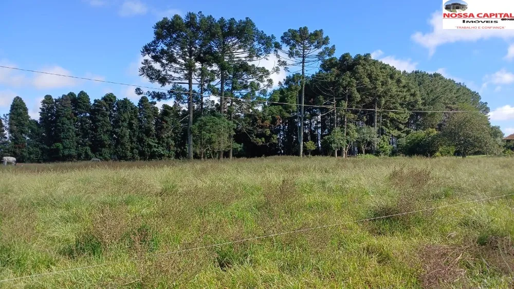 Terreno, 6000 m² - Foto 6