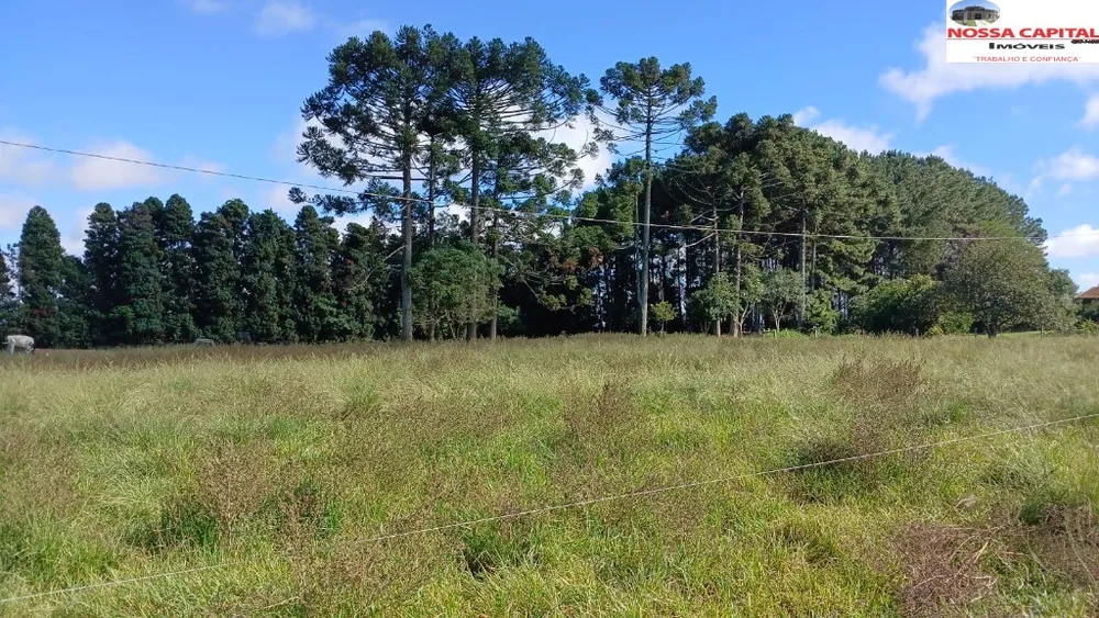 Terreno, 6000 m² - Foto 12