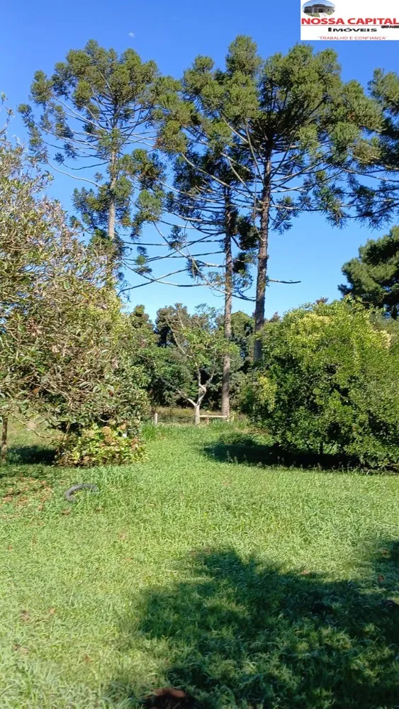 Terreno, 6000 m² - Foto 9