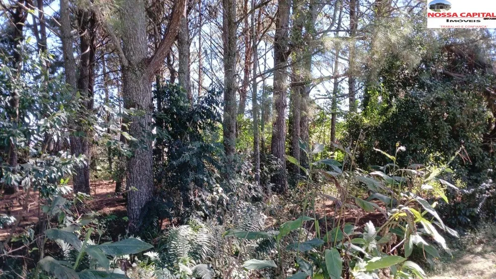 Terreno, 6000 m² - Foto 7