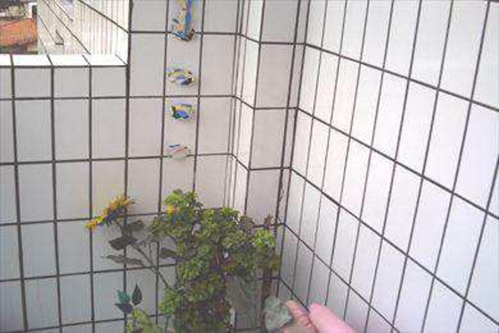 Apartamento, 2 quartos - Foto 5
