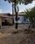 Casa, 2 quartos, 243 m² - Foto 10