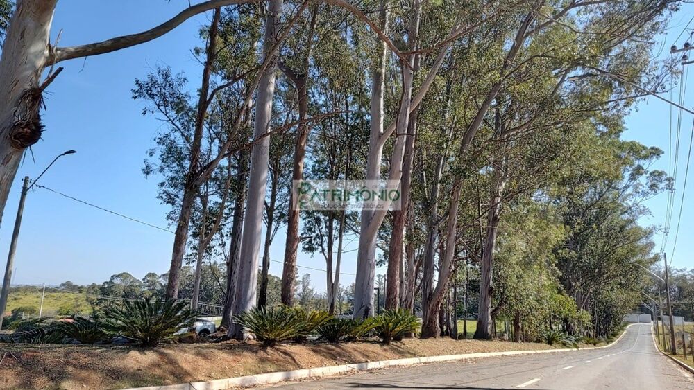 Terreno, 353 m² - Foto 17