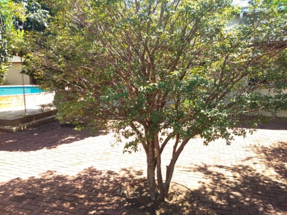 Casa, 3 quartos, 483 m² - Foto 12