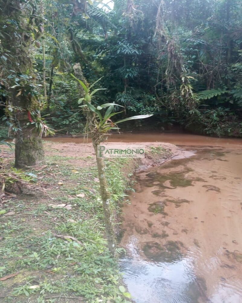 Sítio, 4 quartos, 8 hectares - Foto 4