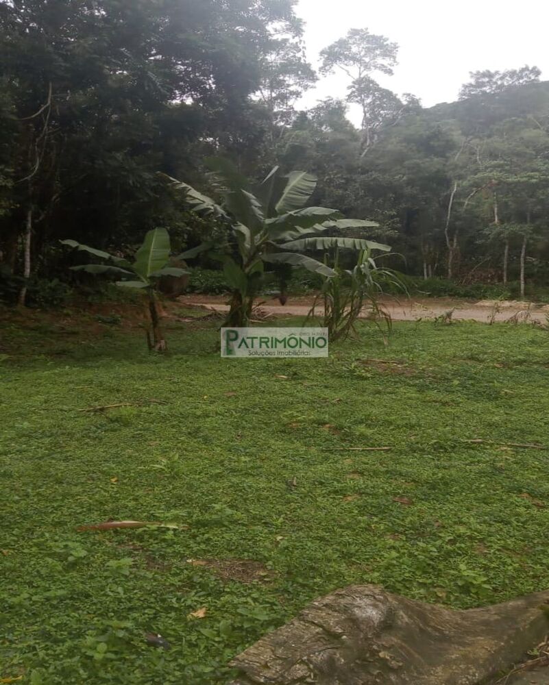 Sítio, 4 quartos, 8 hectares - Foto 5