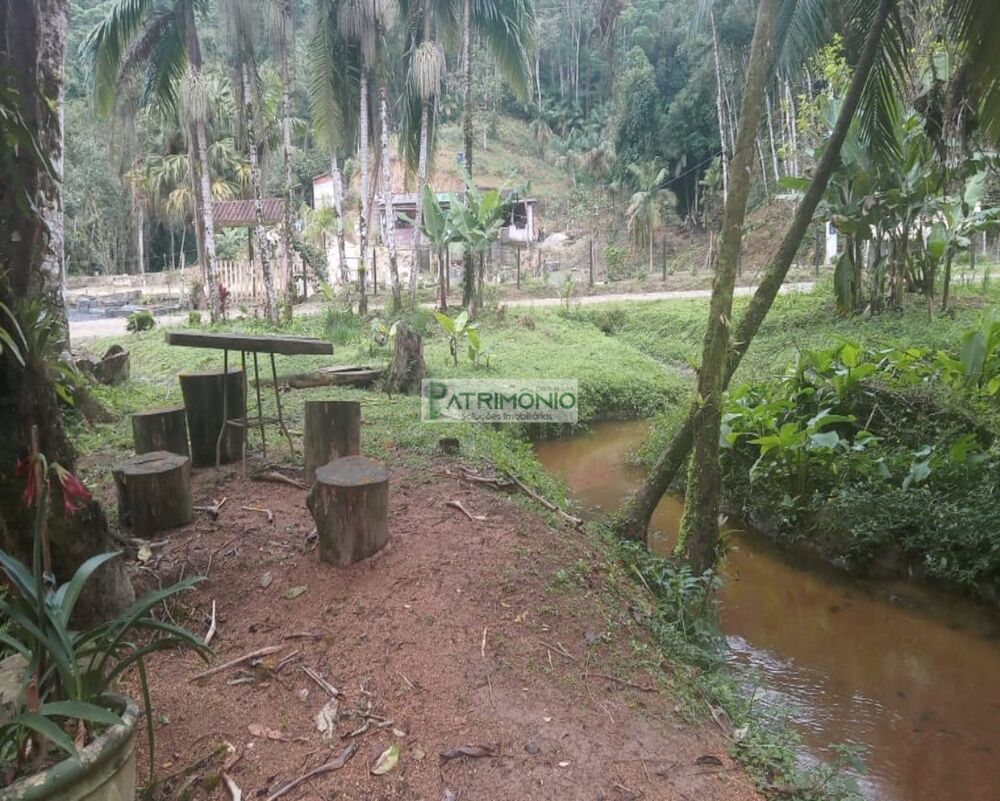 Sítio, 4 quartos, 8 hectares - Foto 3