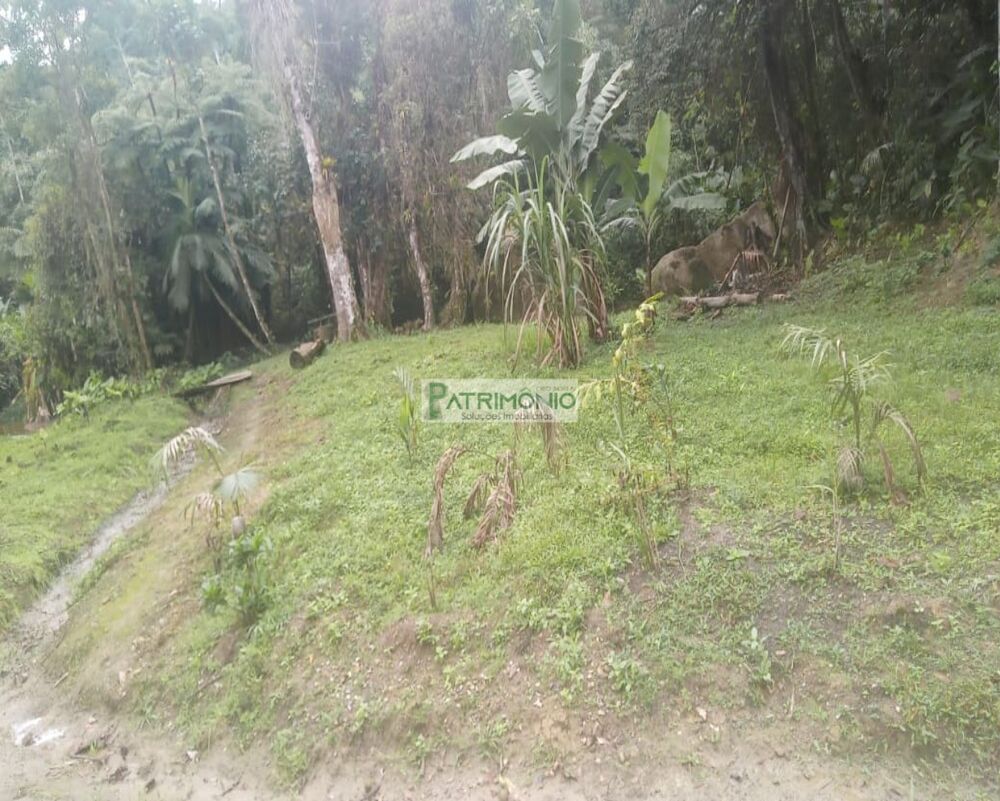 Sítio, 4 quartos, 8 hectares - Foto 1