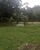 Sítio, 4 quartos, 8 hectares - Foto 5