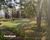 Terreno, 250 m² - Foto 1