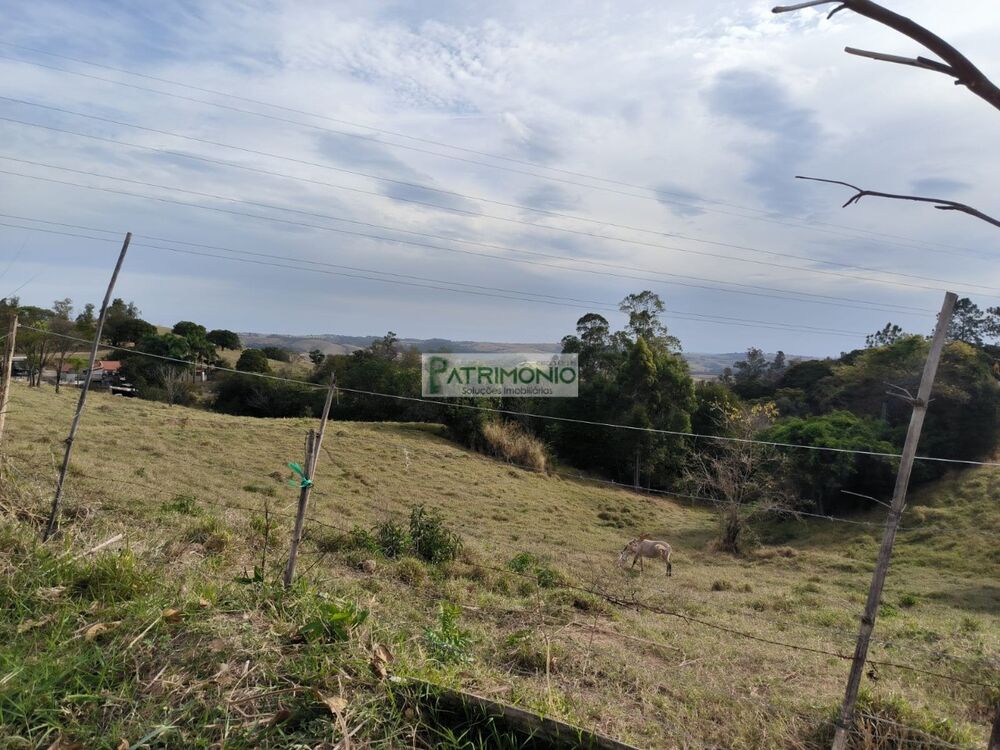 Sítio à venda com 3 quartos, 60000m² - Foto 11