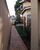 Casa, 3 quartos, 260 m² - Foto 11