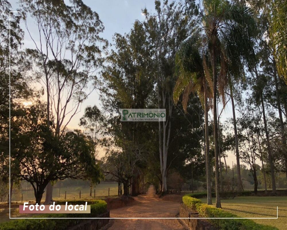 Terreno, 250 m² - Foto 4