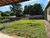 Chácara, 2 quartos, 1250 m² - Foto 3