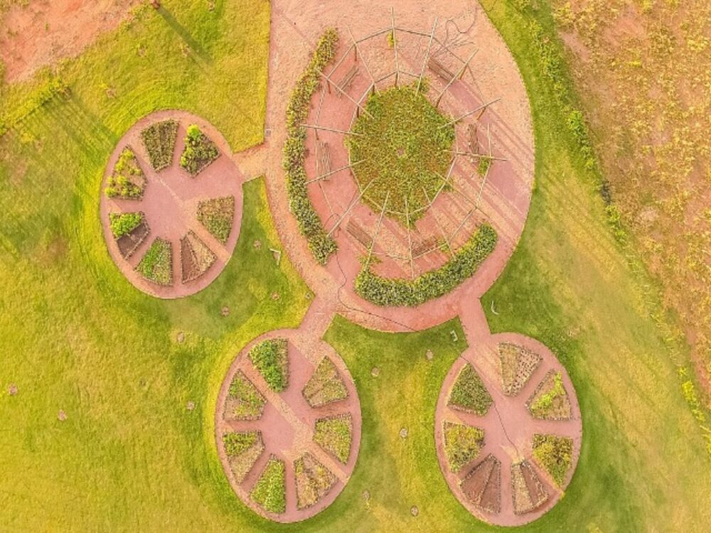 Terreno, 556 m² - Foto 8