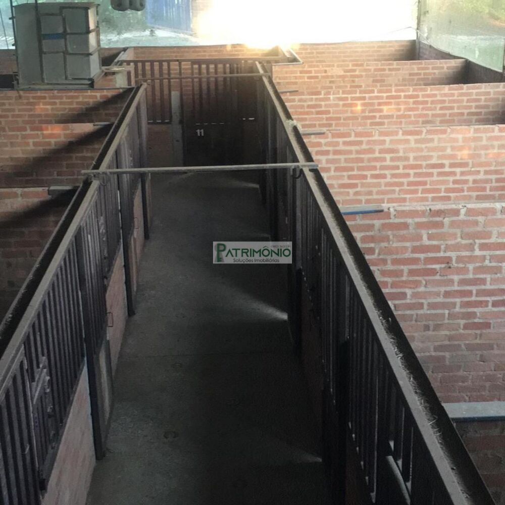 Sítio, 5 quartos, 4 hectares - Foto 9