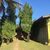 Sítio, 5 quartos, 4 hectares - Foto 3