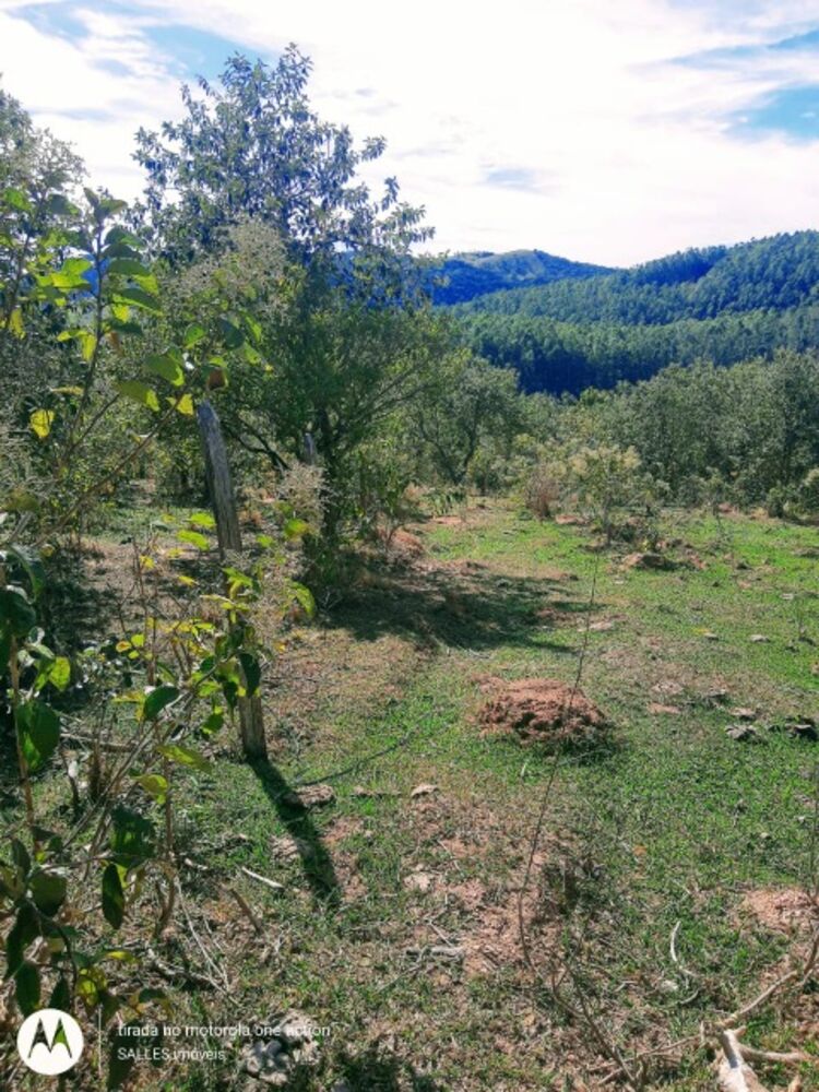 Chácara à venda - Foto 4
