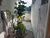 Casa, 2 quartos, 291 m² - Foto 13
