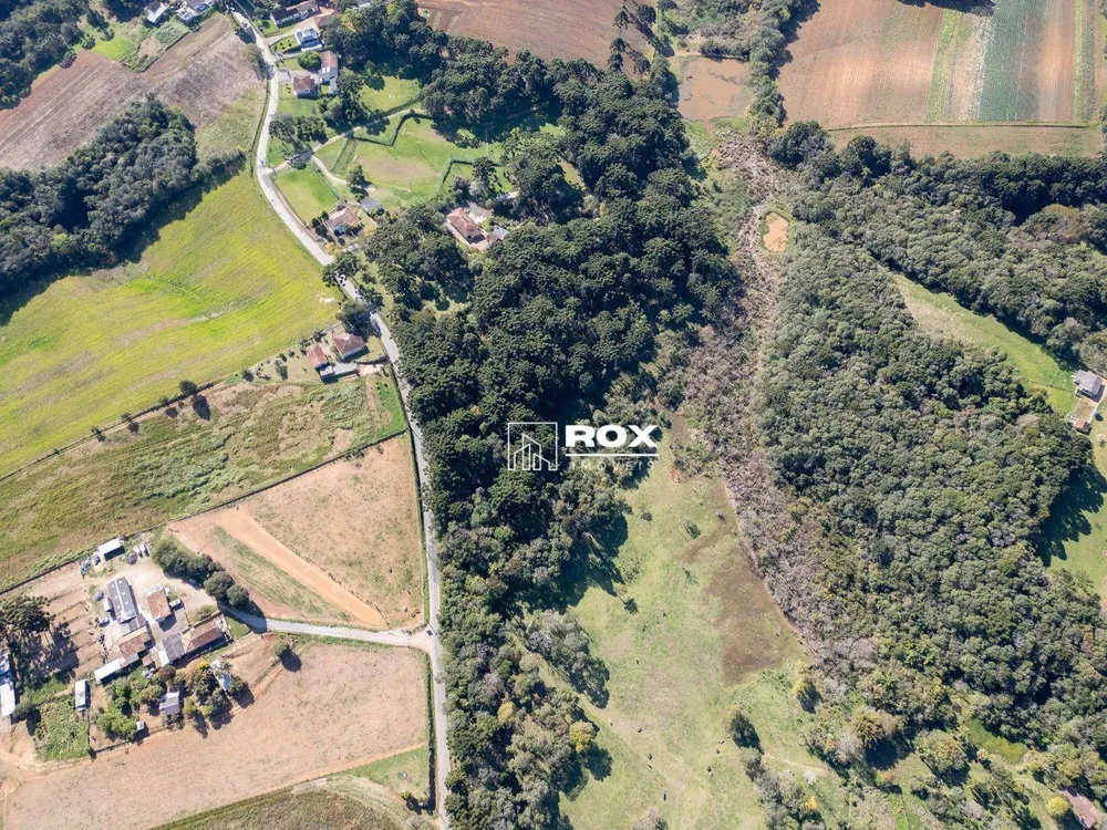 Terreno, 3 hectares - Foto 7