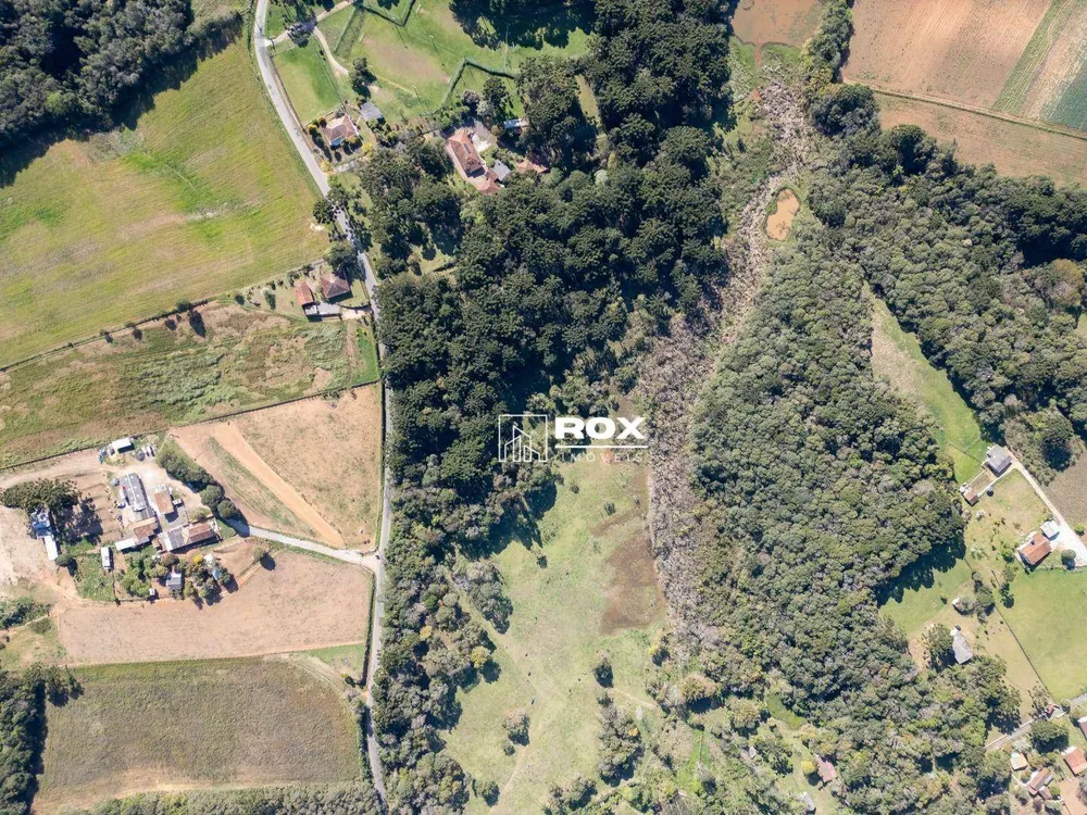 Terreno, 3 hectares - Foto 8