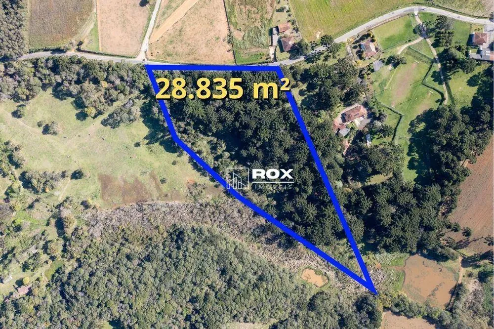 Terreno, 3 hectares - Foto 1