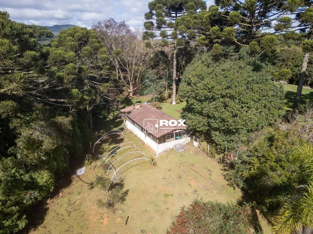 Chácara, 4 quartos, 5 hectares - Foto 6