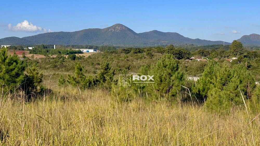 Loteamento e Condomínio, 3547 m² - Foto 2